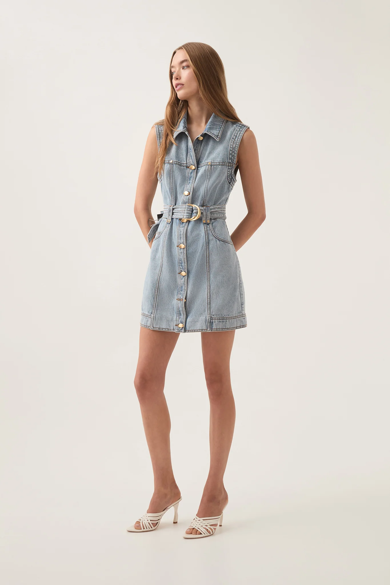 Ray Denim Mini Dress
