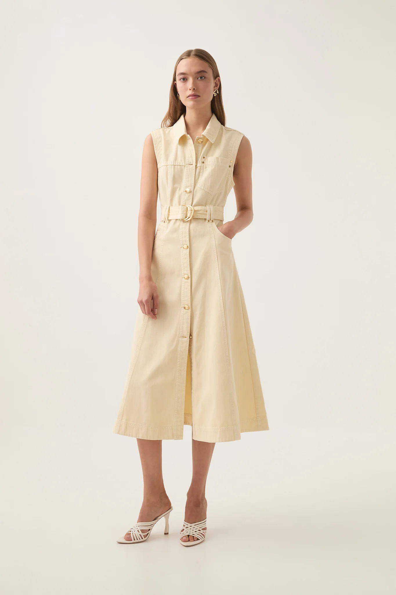 Ray Denim Midi Dress