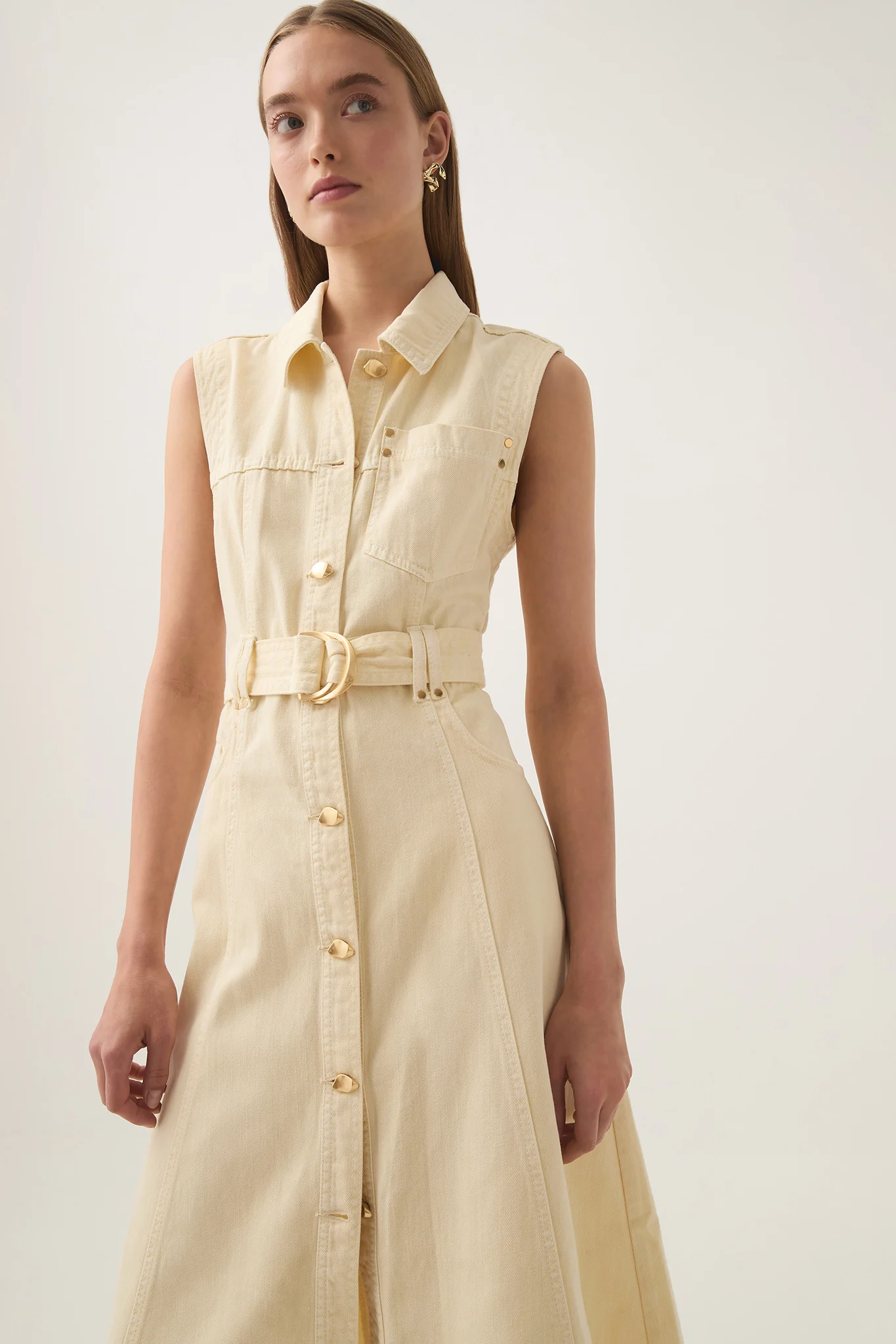 Ray Denim Midi Dress