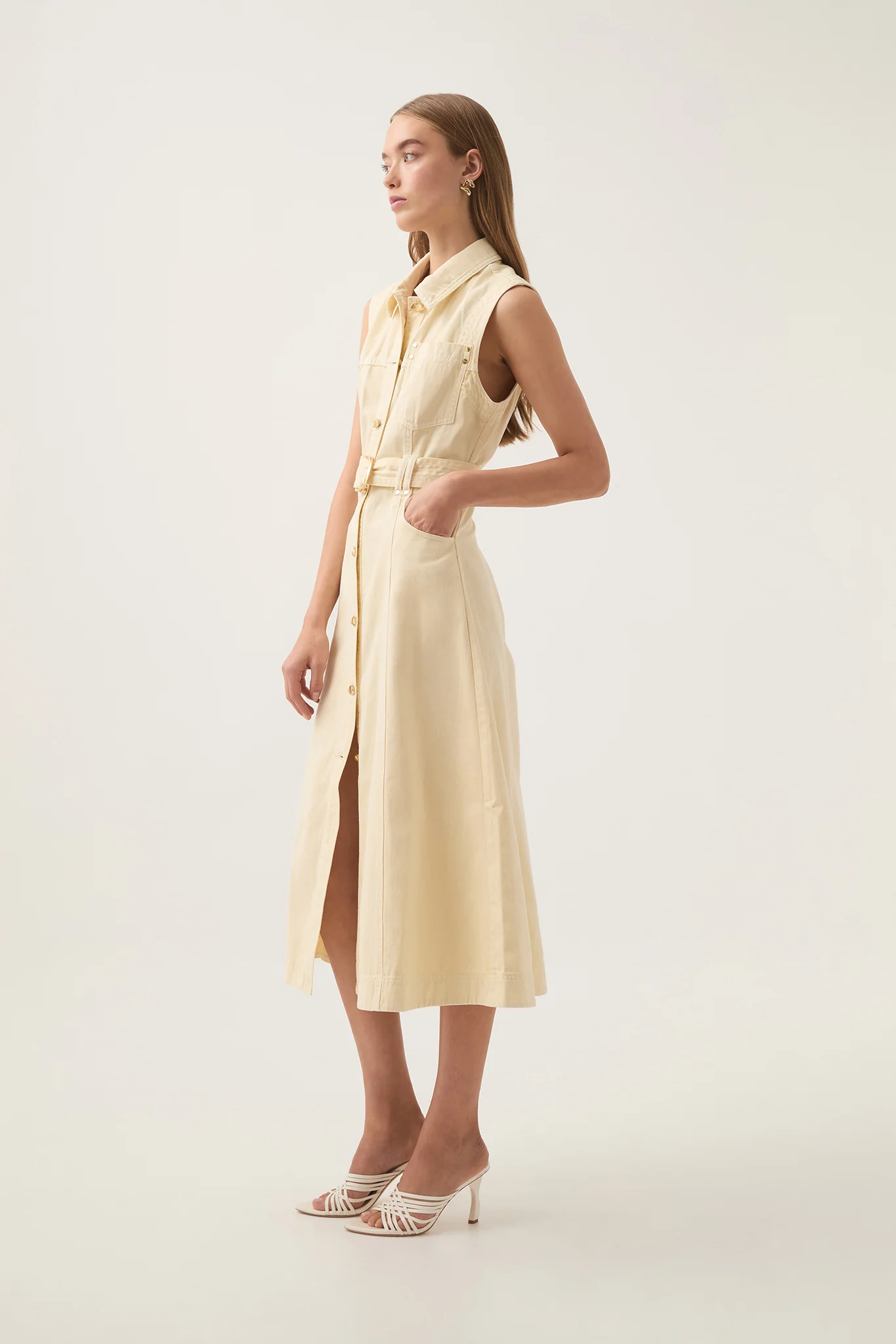 Ray Denim Midi Dress
