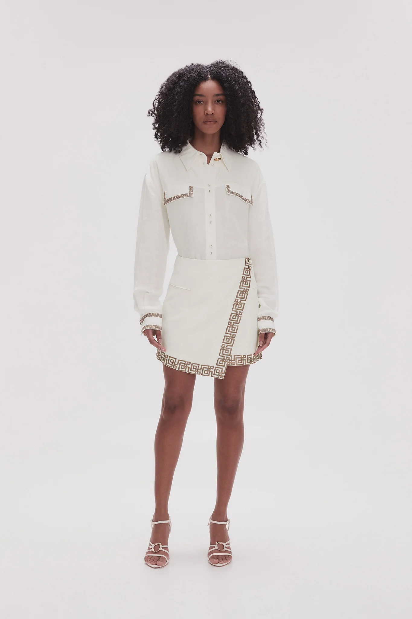 Voyager Embroidered Mini Skirt