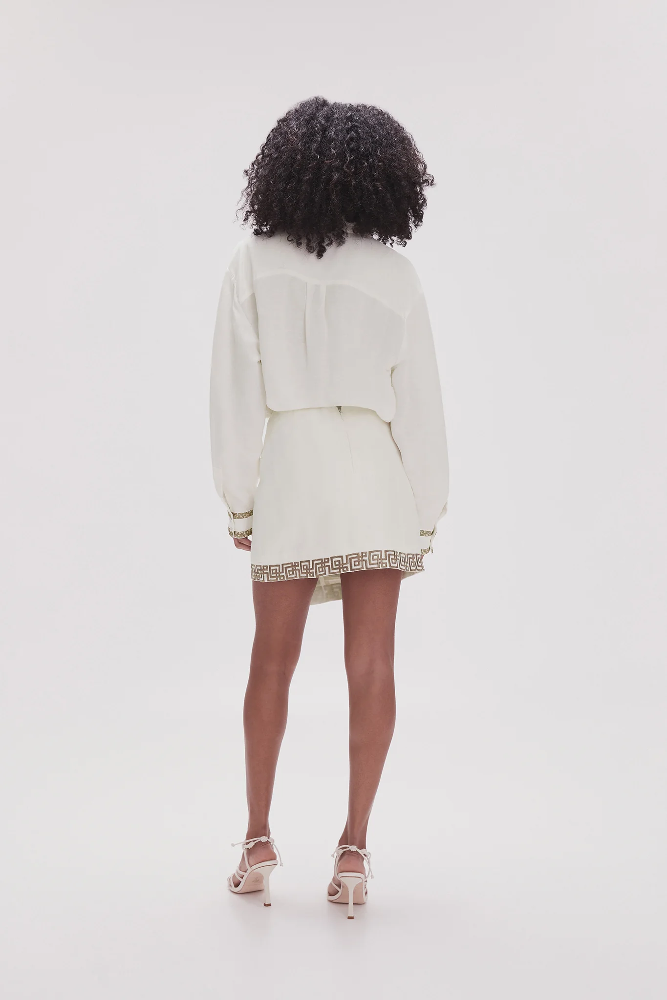 Voyager Embroidered Mini Skirt