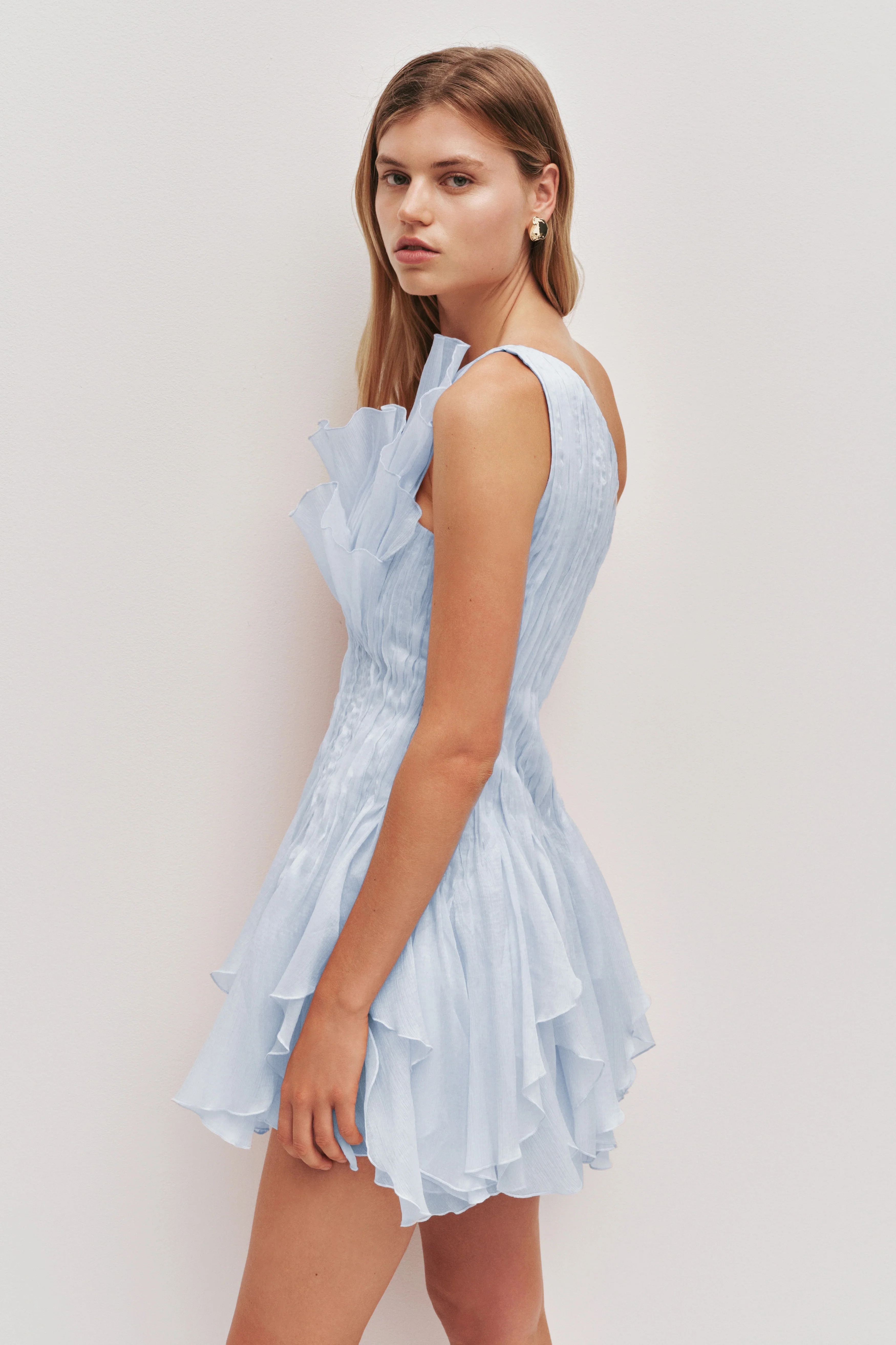 Nisha Mini Dress