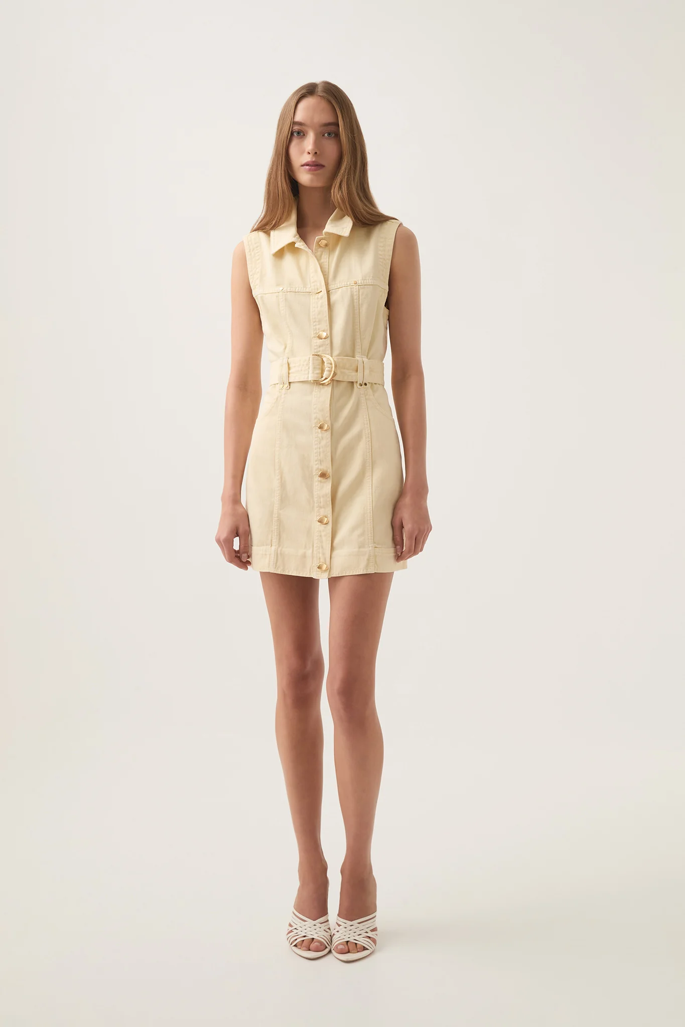 Ray Denim Mini Dress