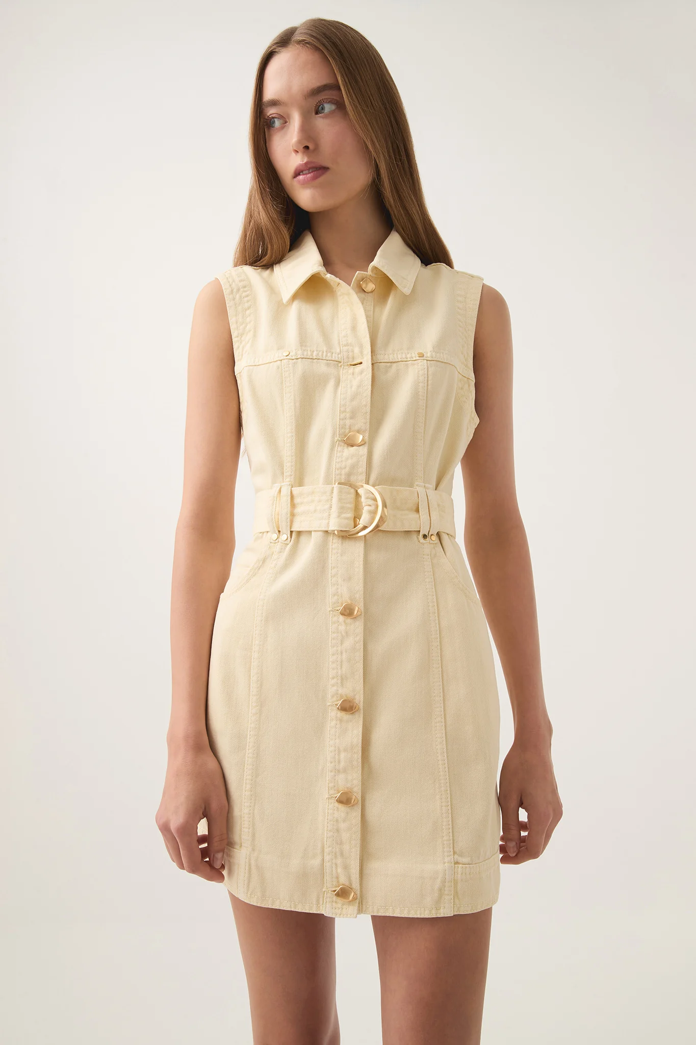 Ray Denim Mini Dress