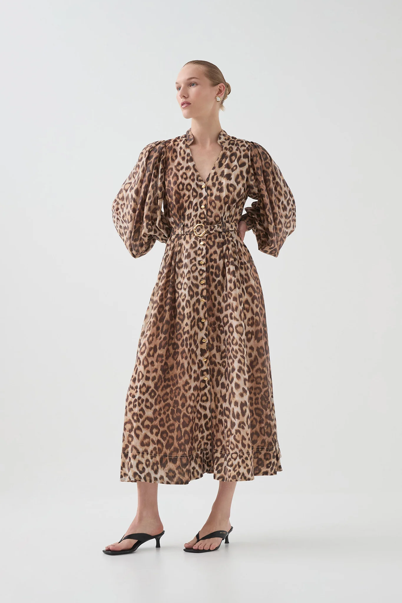 Isabella Shirtdress