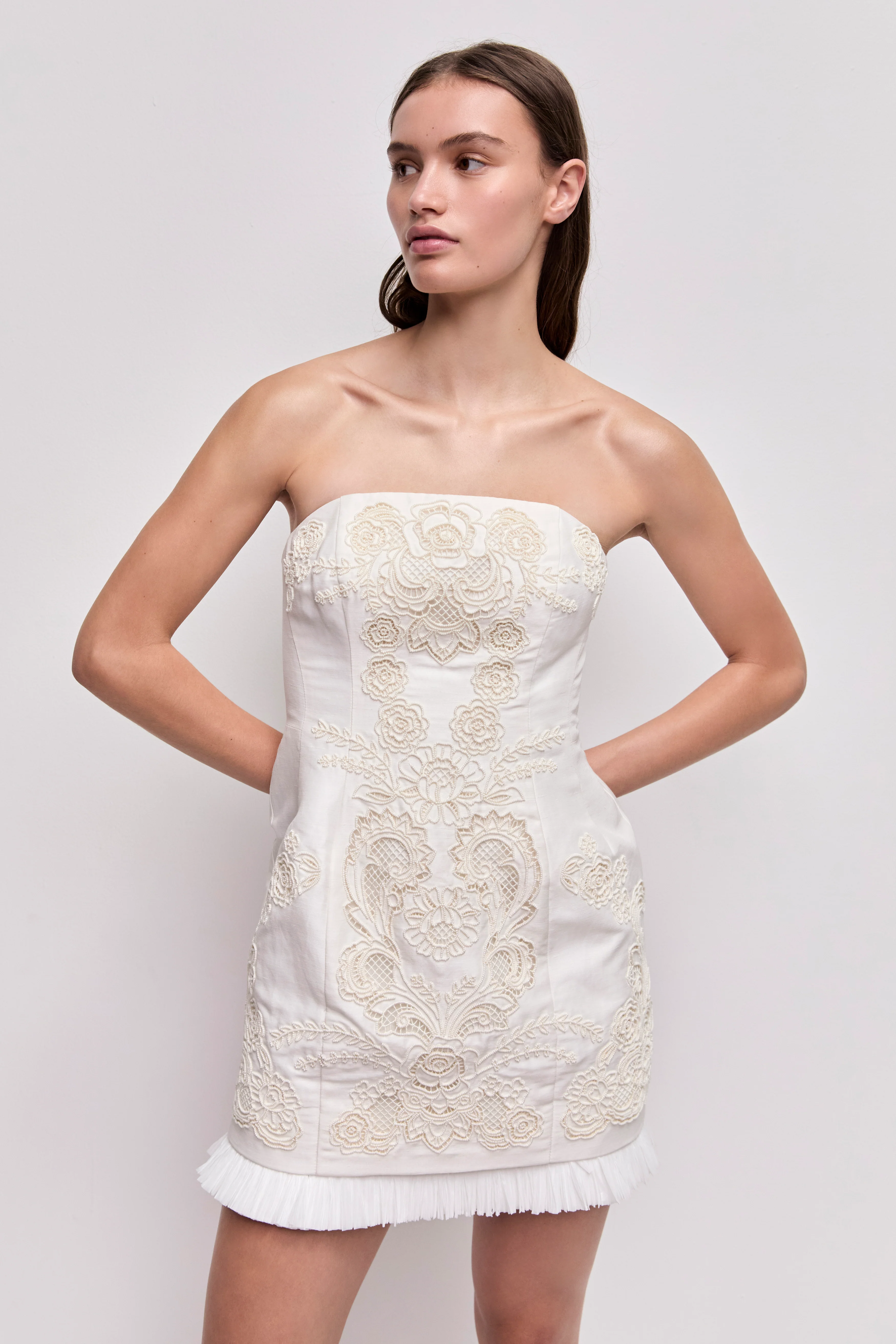 Perilla Embroidered Mini Dress