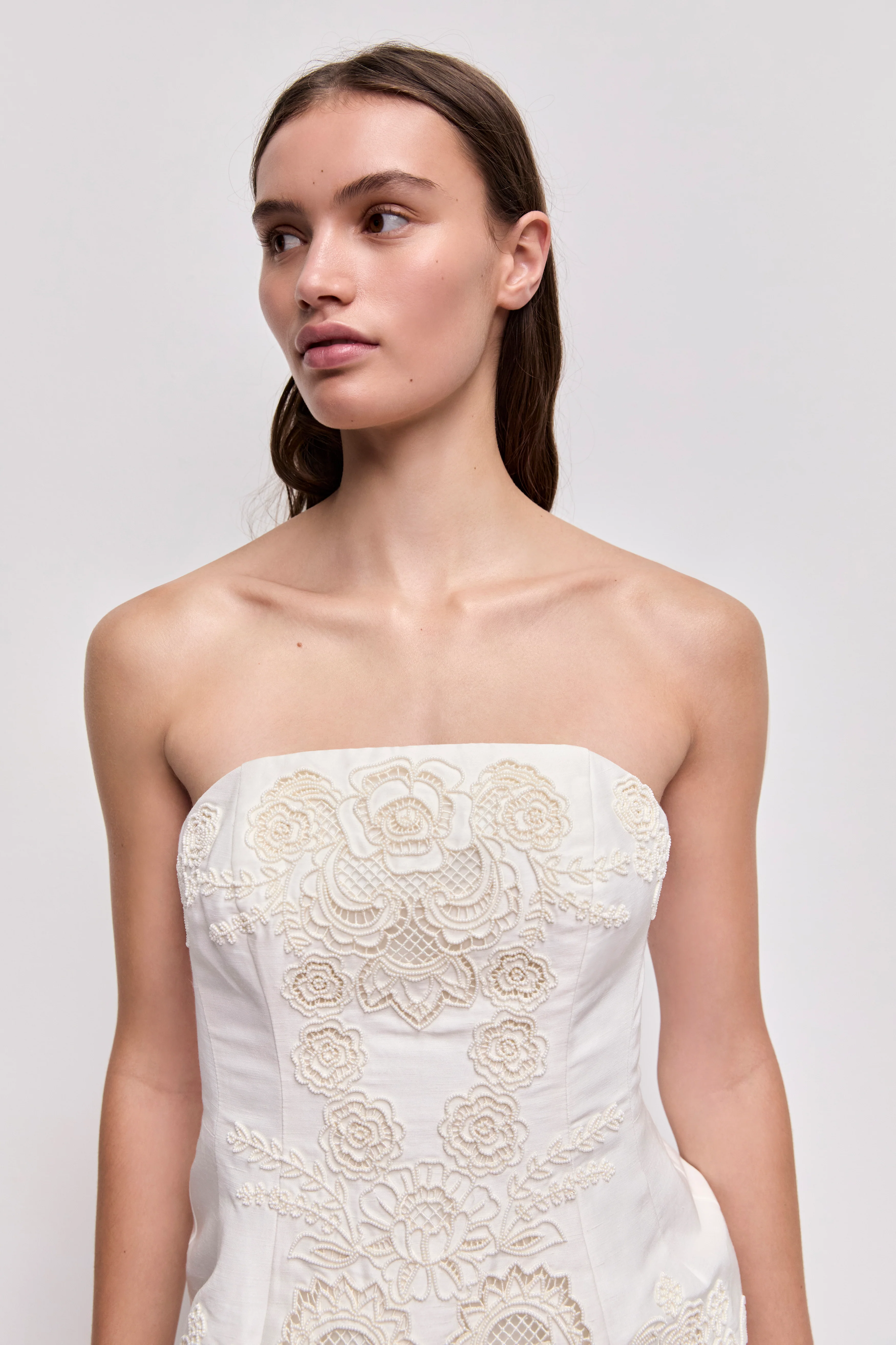 Perilla Embroidered Mini Dress