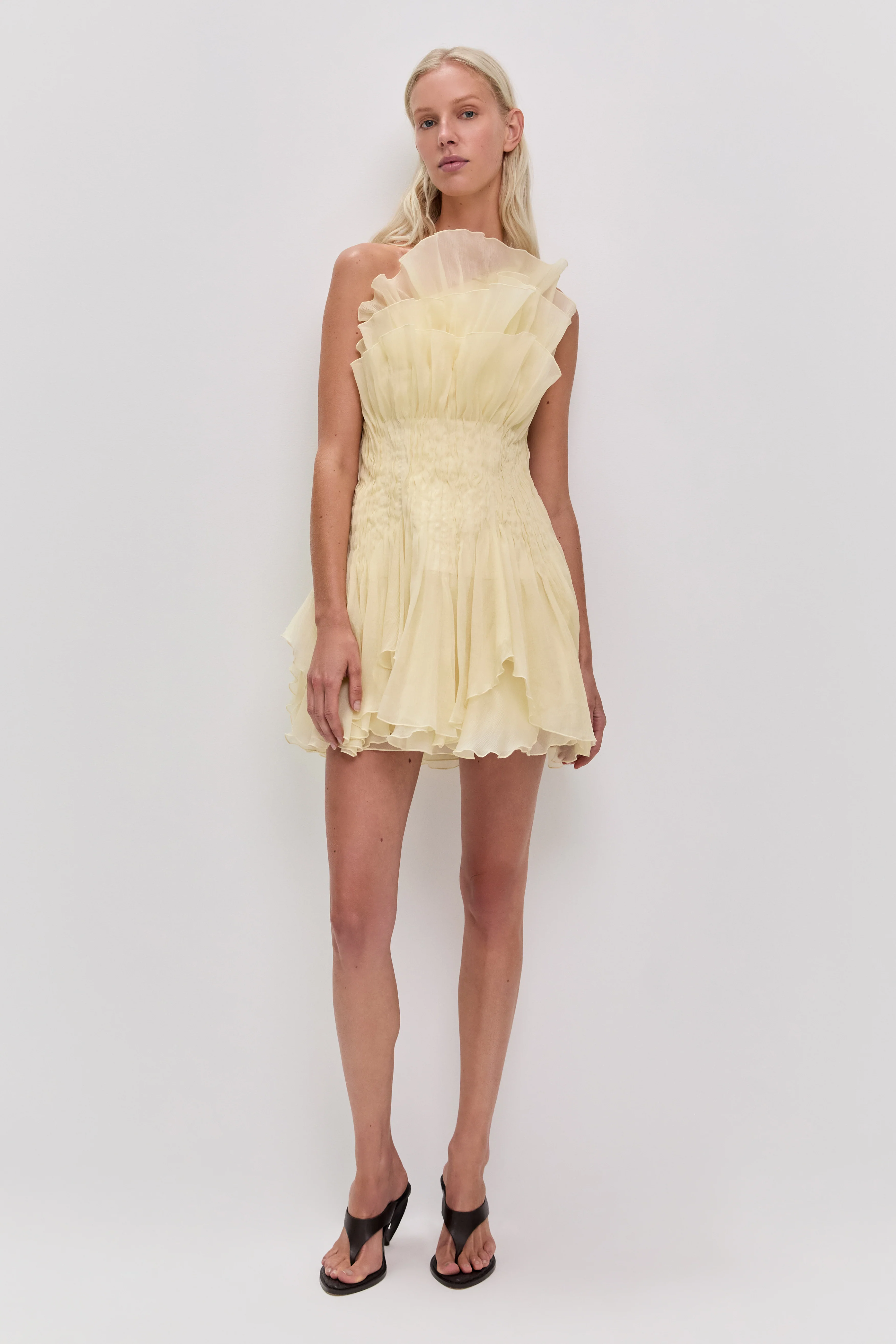 Nisha Mini Dress