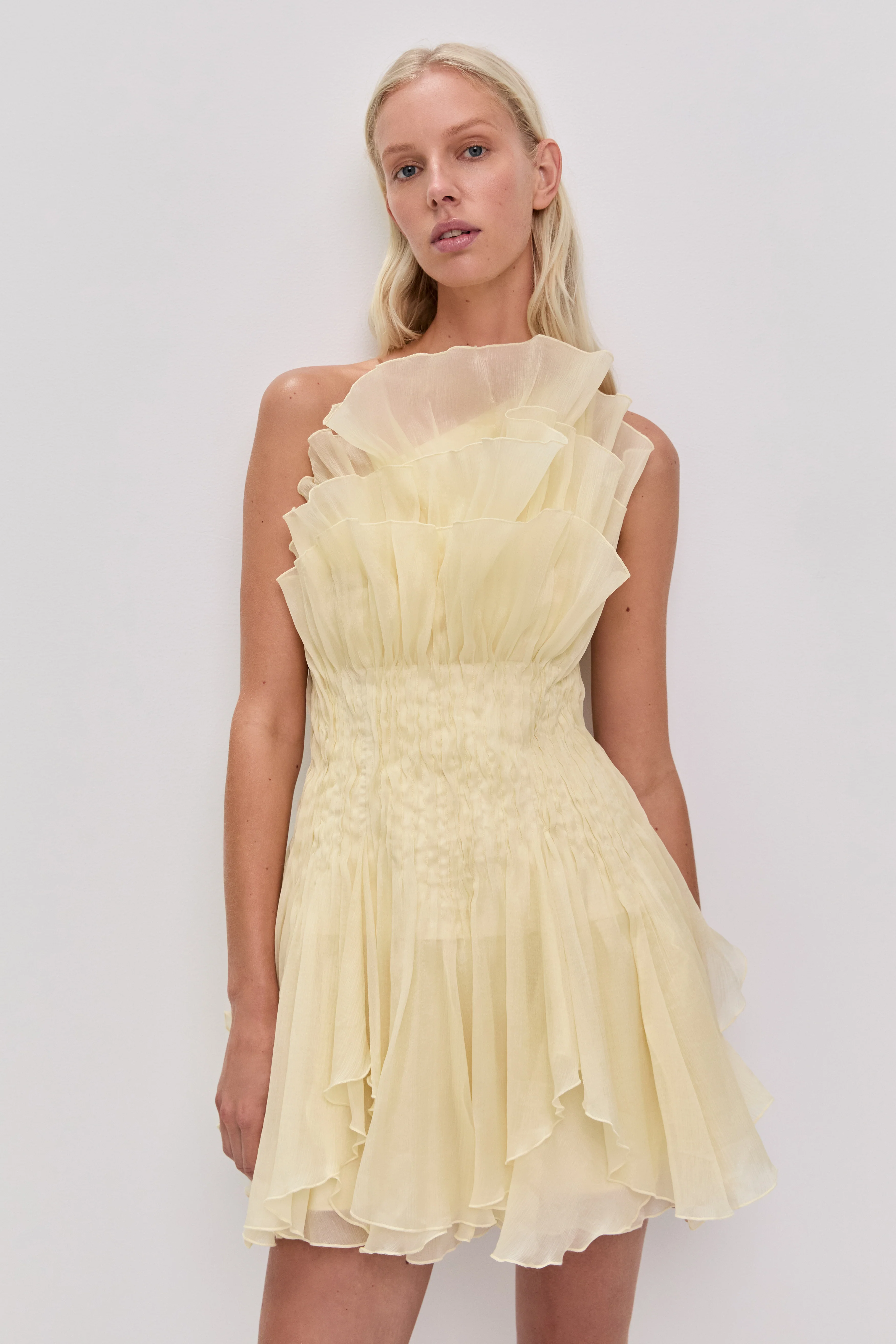 Nisha Mini Dress