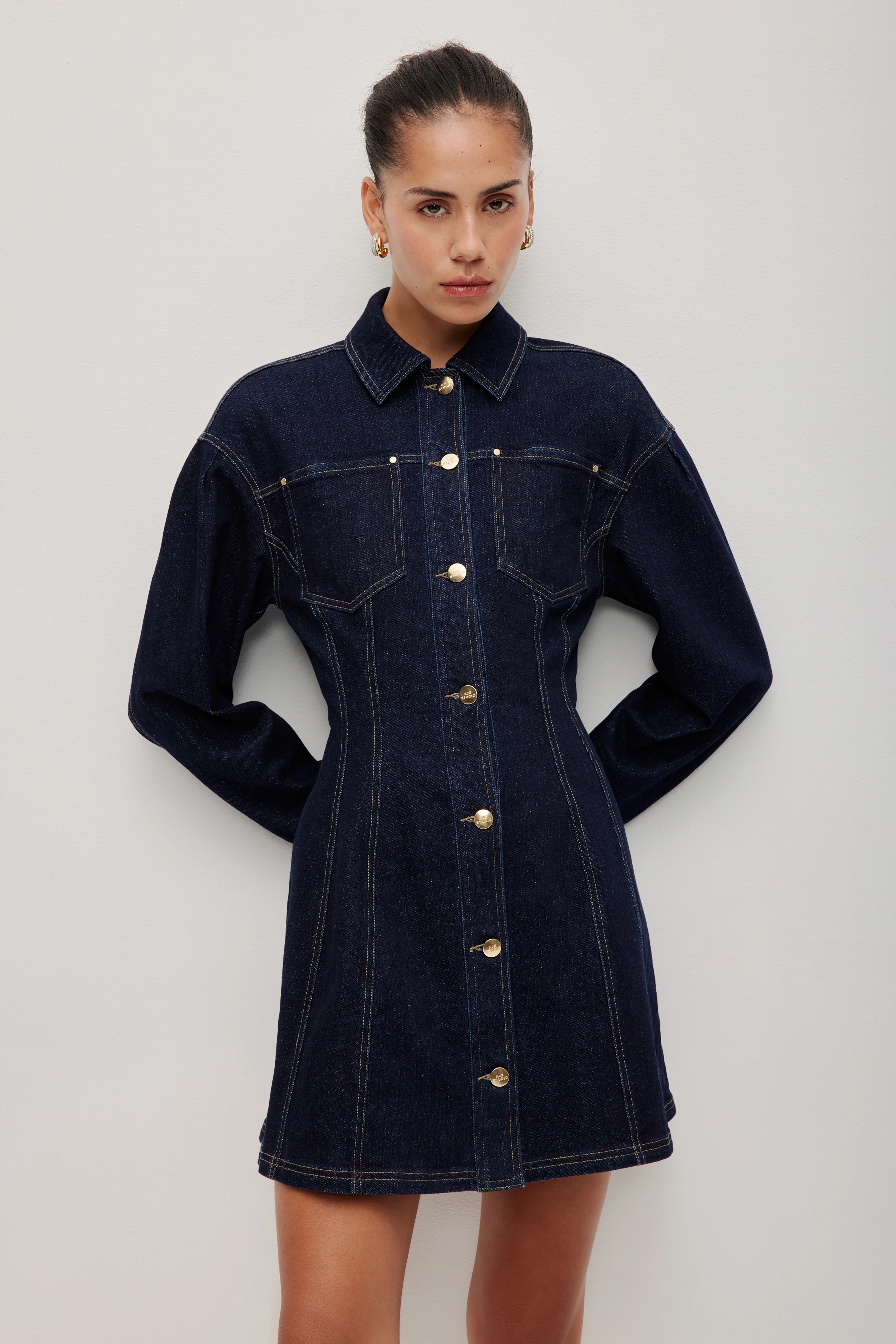 Marcelline Denim Dress