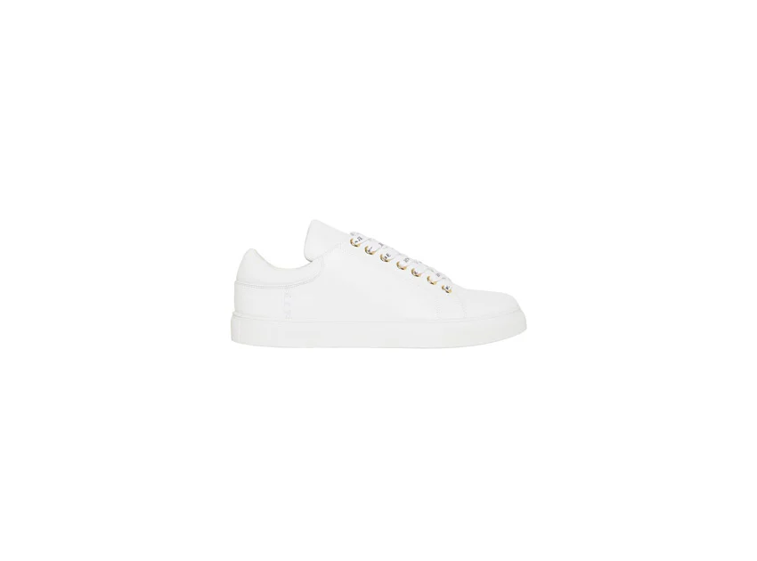 3592-hazel-trainer-5.webp Hazel Trainer