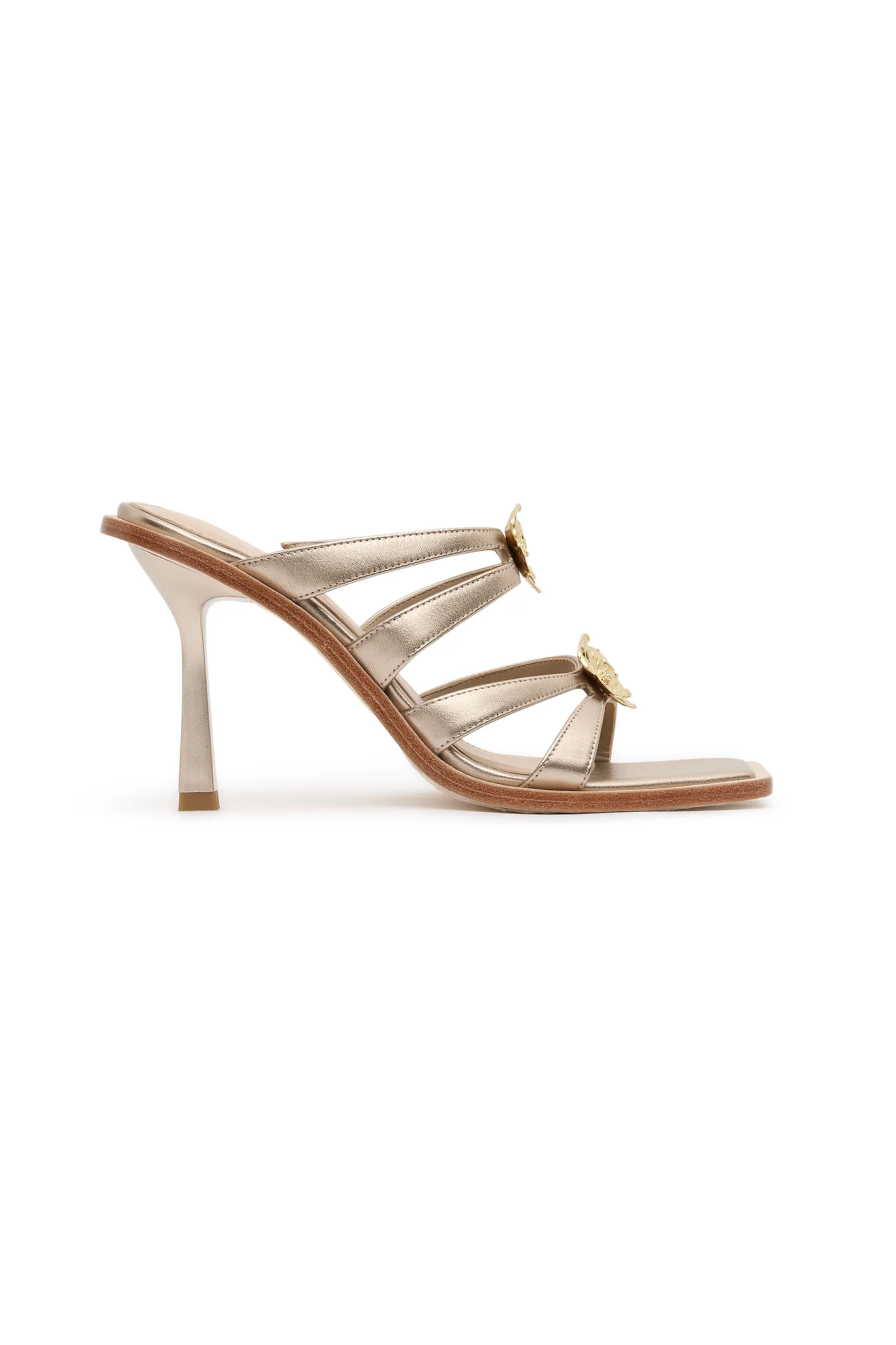 Aventura Heel