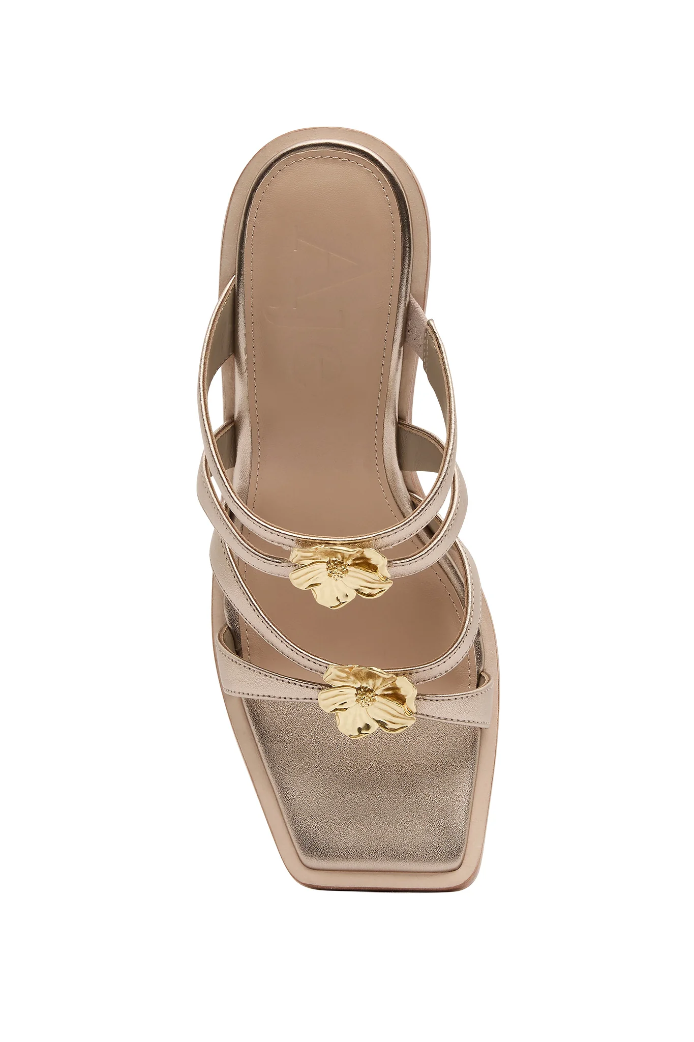 Aventura Heel
