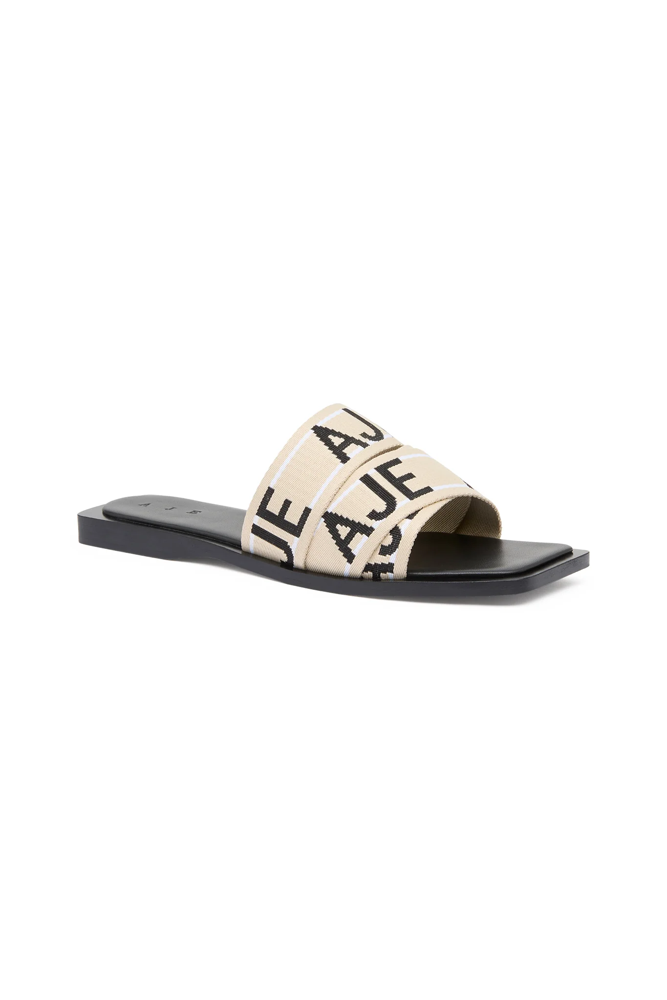 Anais Slide