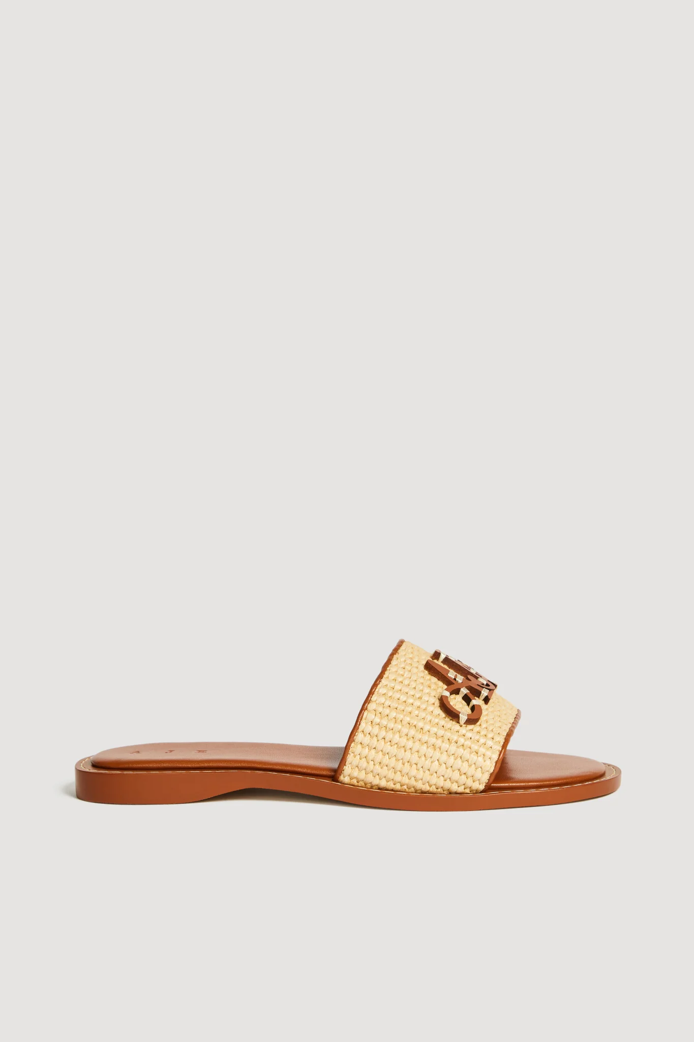 Blaise Logo Slide