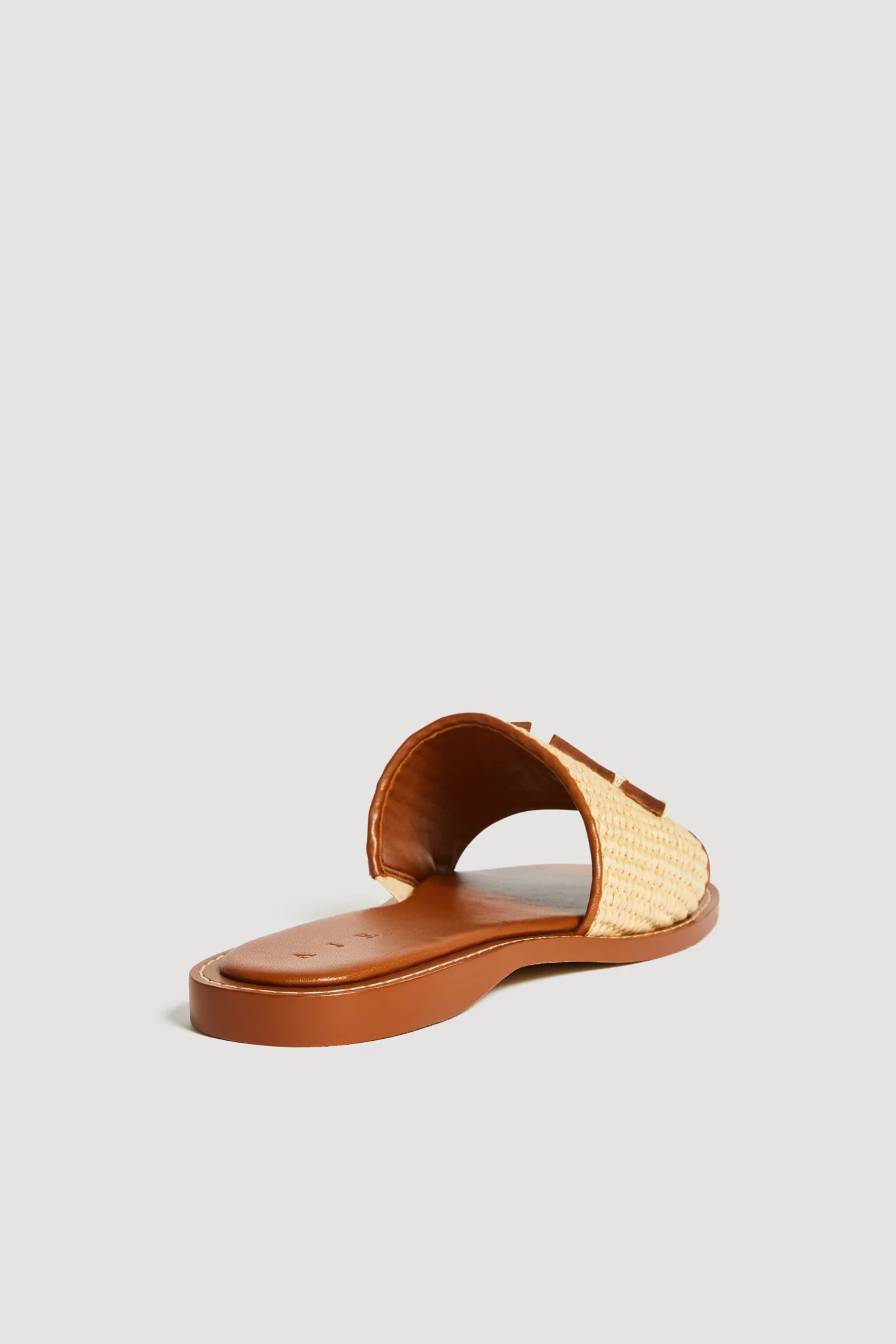 Blaise Logo Slide