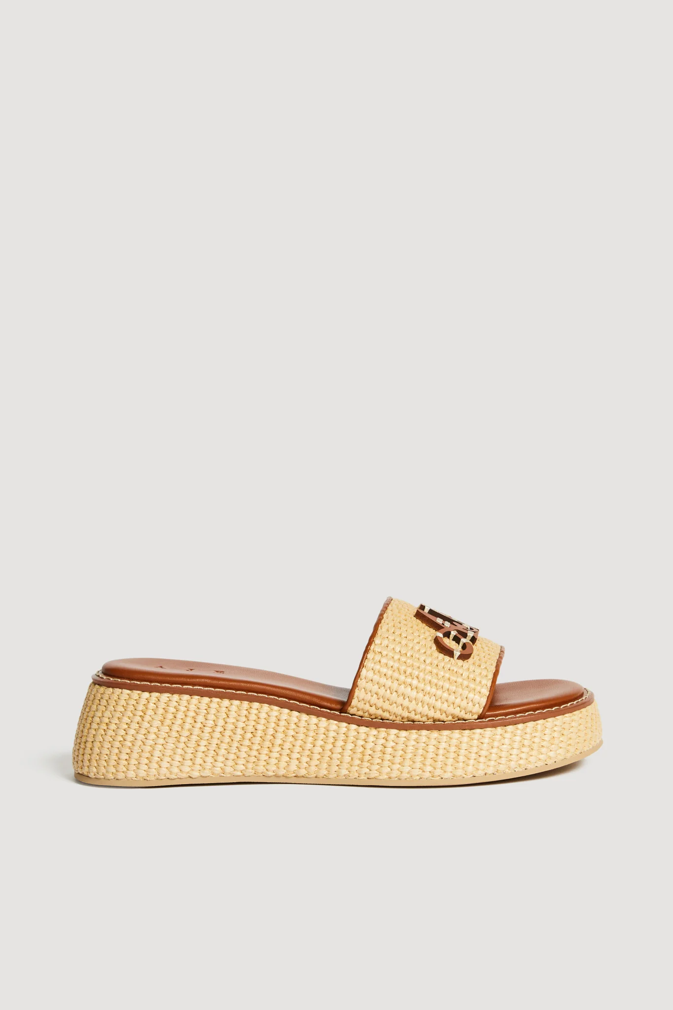 Blaise Platform Slide