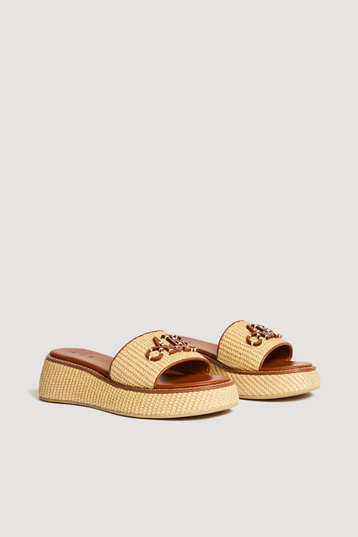 Blaise Platform Slide