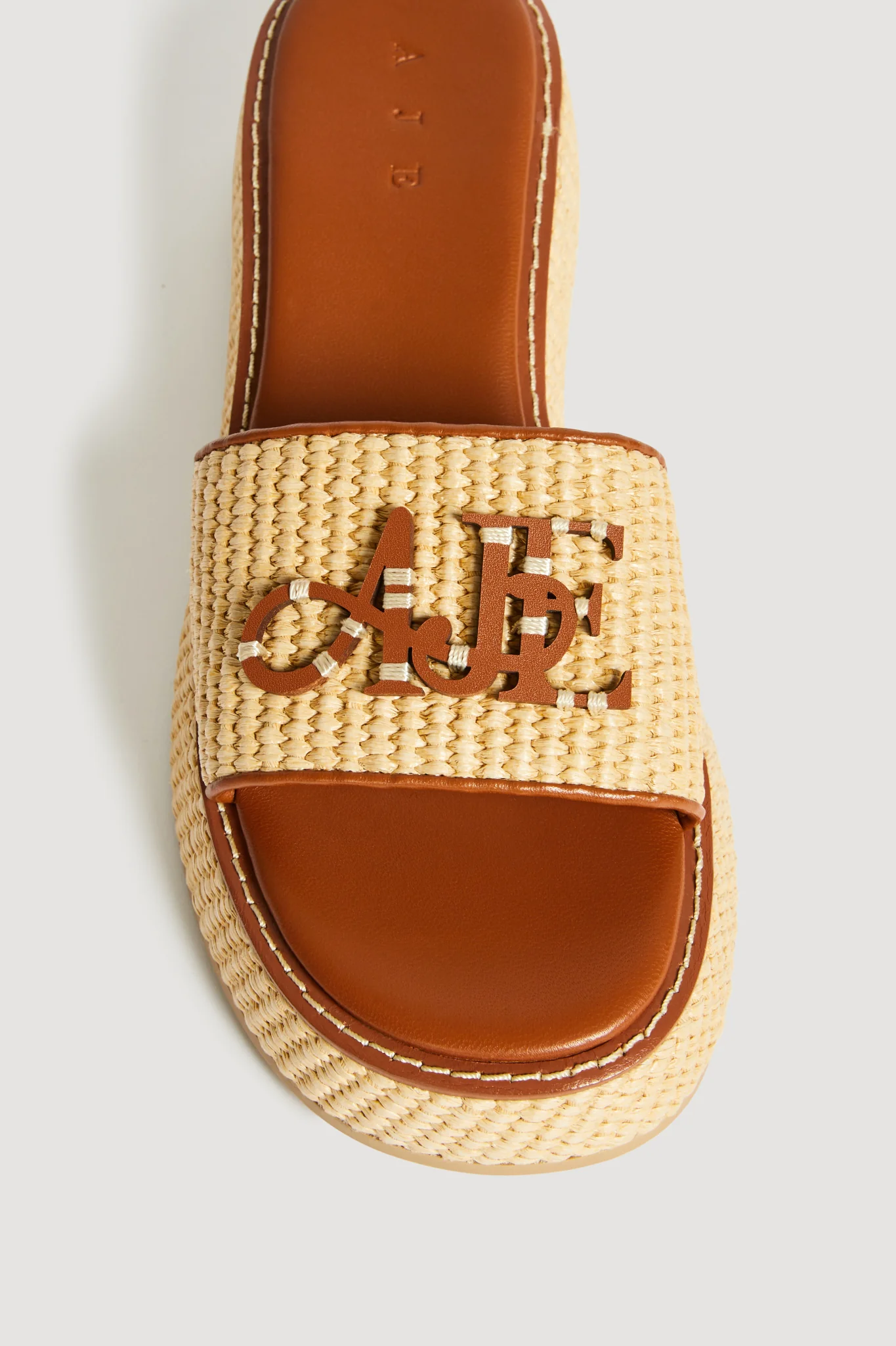 Blaise Platform Slide