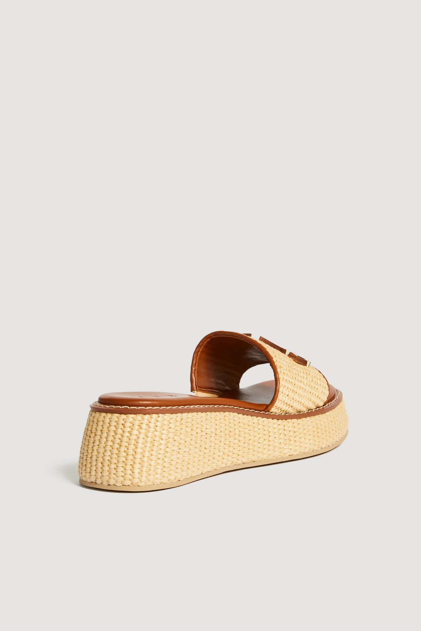 Blaise Platform Slide