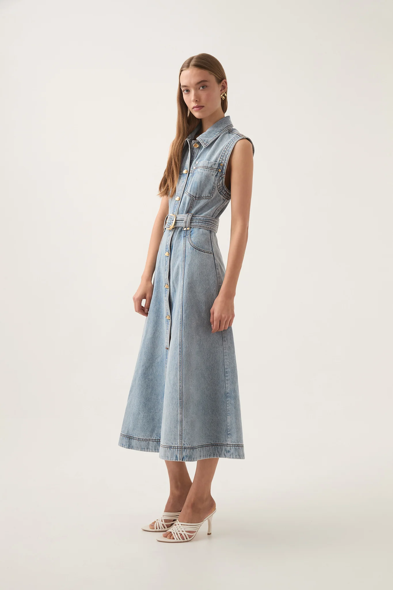 Ray Denim Midi Dress